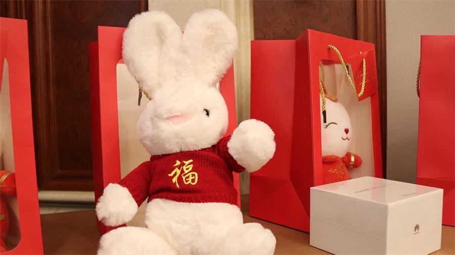 勇毅進取，順風飛揚 | 2023年 藍鵬測控年會  陽光普照獎 到場員工紀念玩偶